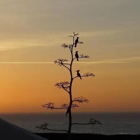 Eco Finca Verde Arrieta (Lanzarote)