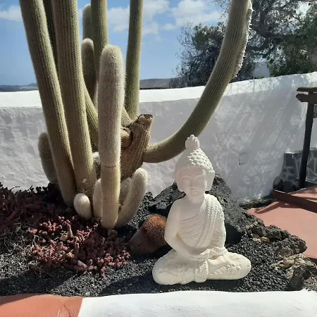 Séjour à la campagne Eco Finca Verde Arrieta (Lanzarote)