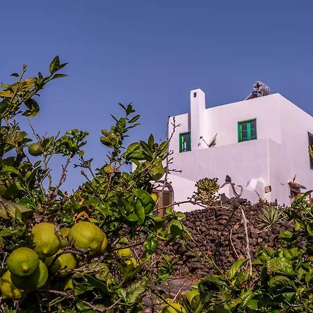 Eco Finca Verde * Arrieta (Lanzarote)