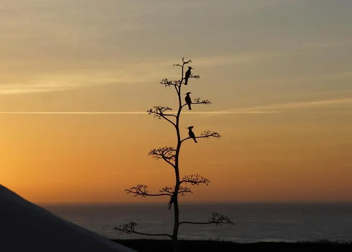 Eco Finca Verde Arrieta (Lanzarote)