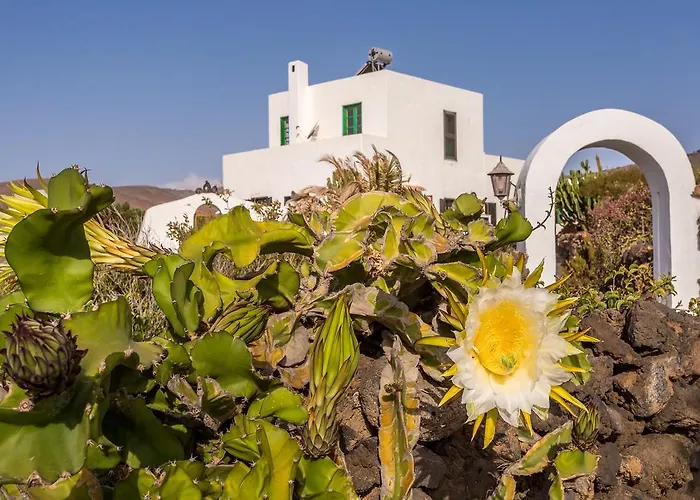 Eco Finca Verde * Arrieta (Lanzarote)